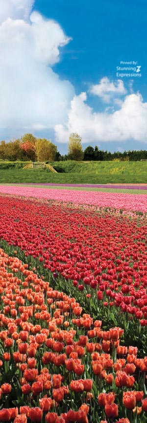 Netherlands Travel