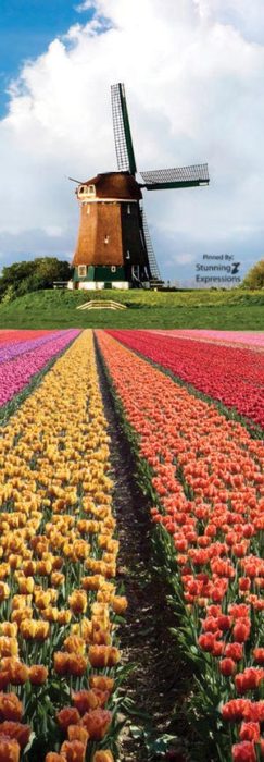 Netherlands Travel