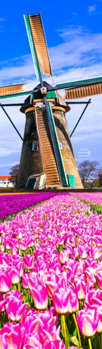 Netherlands Travel