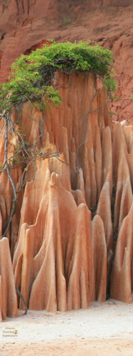 Indian Ocean Islands