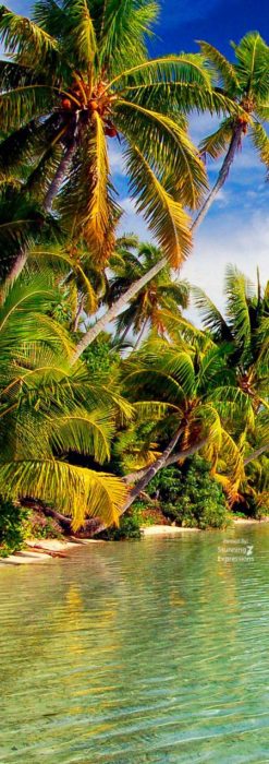 Seychelles Islands - Indian Ocean