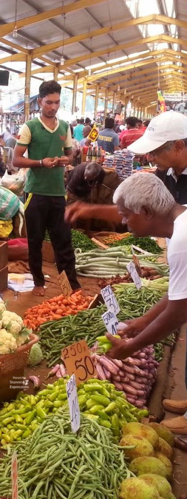 Sri Lanka - Indian Ocean