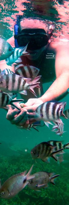 Mauritius Islands - Indian Ocean