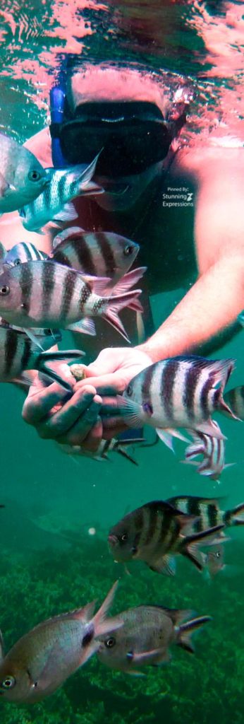 Mauritius Islands - Indian Ocean