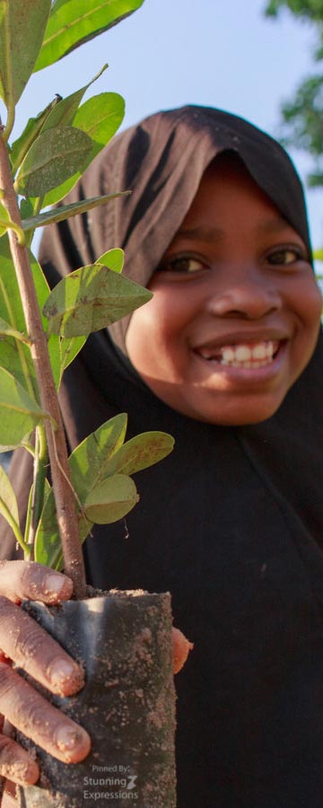 Zanzibar Islands - Indian Ocean