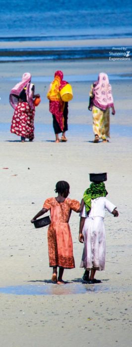Zanzibar Islands - Indian Ocean
