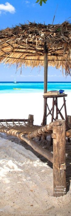 Zanzibar Islands - Indian Ocean