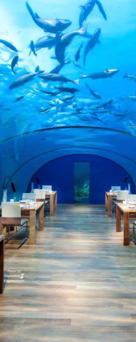 Zanzibar Islands - Indian Ocean