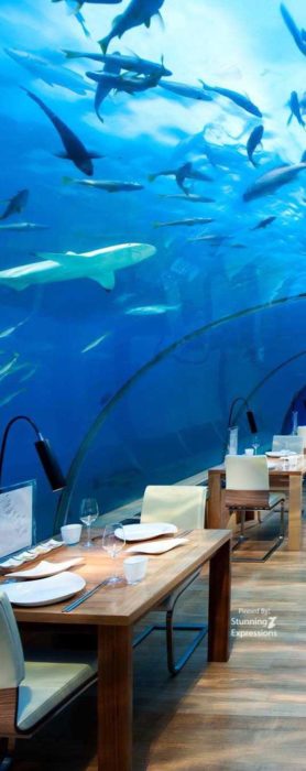 Zanzibar Islands - Indian Ocean