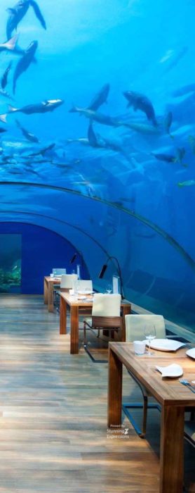 Zanzibar Islands - Indian Ocean