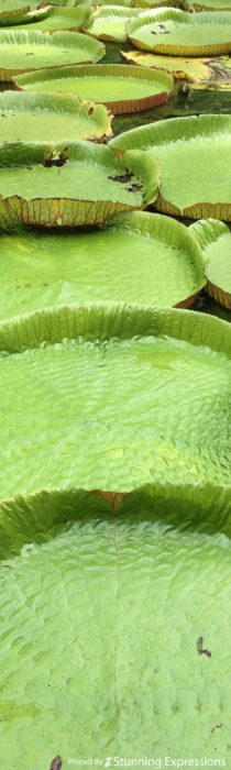 Mauritius Islands - Indian Ocean