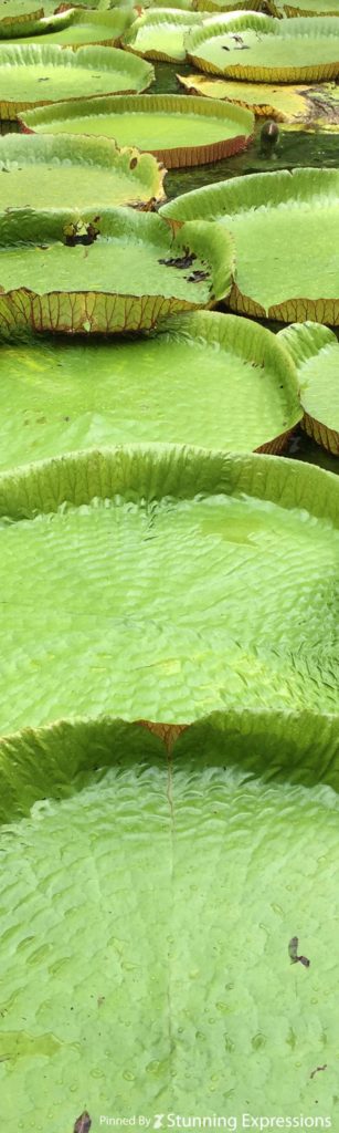 Mauritius Islands - Indian Ocean