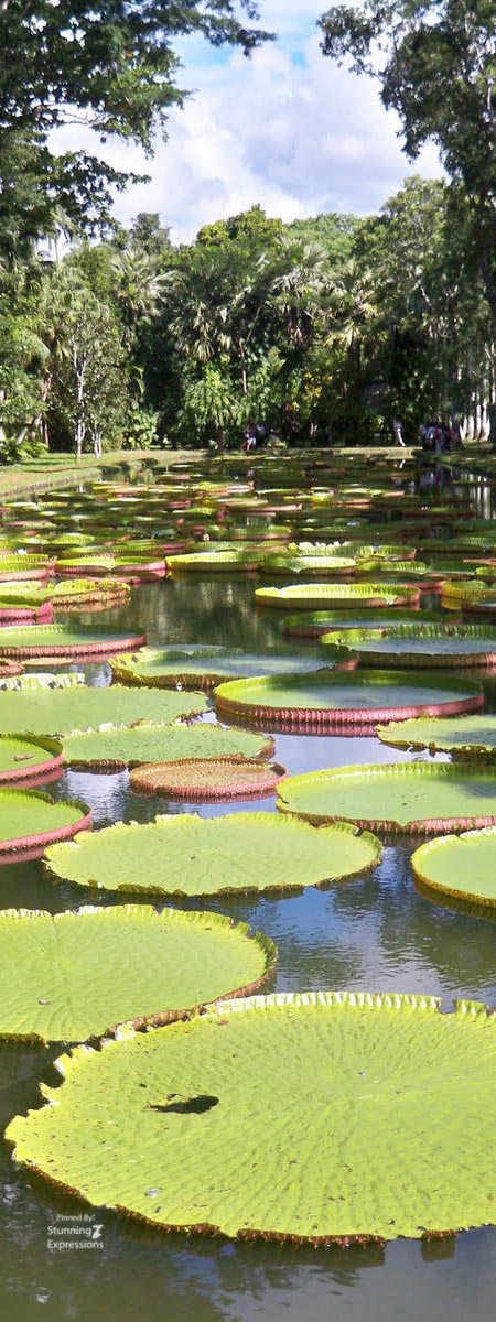 Mauritius Islands - Indian Ocean