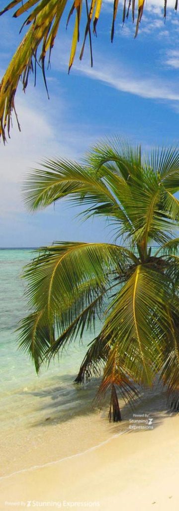 Indian Ocean Islands