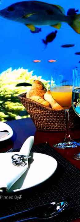 Maldives Islands - Indian Ocean