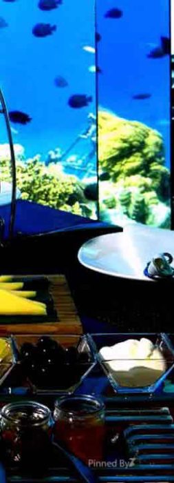 Maldives Islands - Indian Ocean