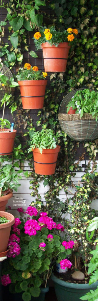 Springtime | Gallery 1