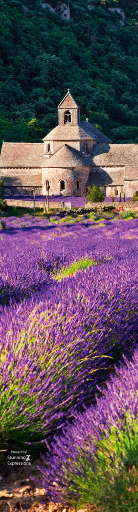Provence - France | Springtime
