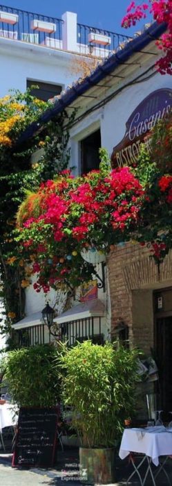 Spain Travel - Andalucia | Gallery 1