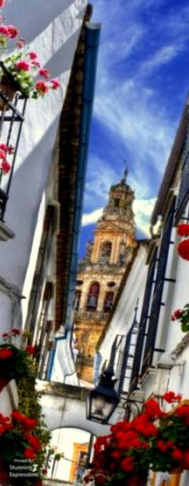 Spain Travel - Andalucia | Gallery 1