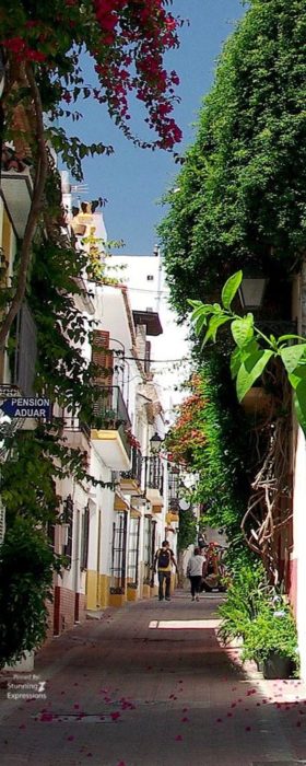 Spain Travel - Andalucia | Gallery 1