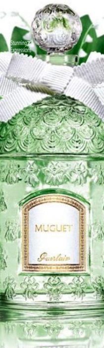 Fragrance and Perfume