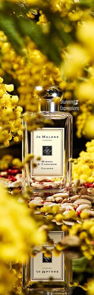 Fragrance and Perfume